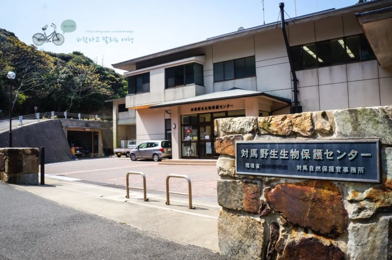 DSC08007_wide1080mark.jpg?type=w773