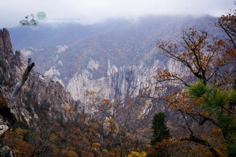 DSC05573_wide1080mark.jpg?type=w773