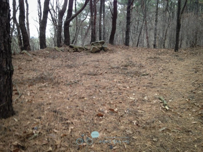 IMG_1438-_Wide1080mark.jpg?type=w773