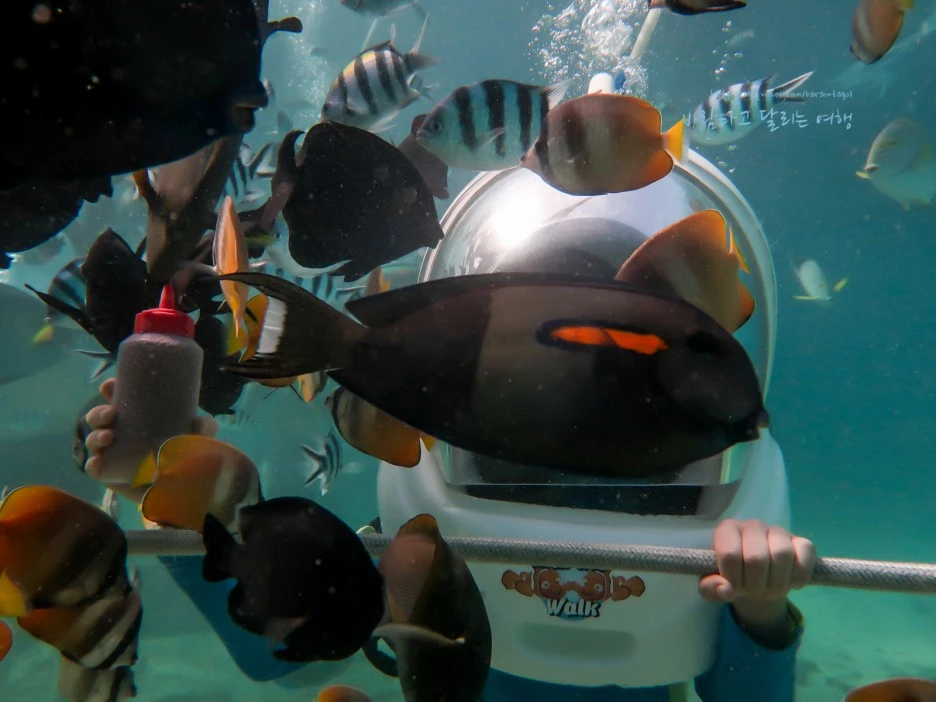 IMG_0037_Short1200mark%EB%B0%94%EB%9E%8C.jpg?type=w1