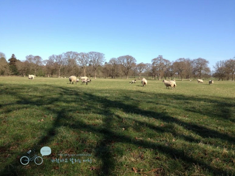 IMG_1606.jpg?type=w773