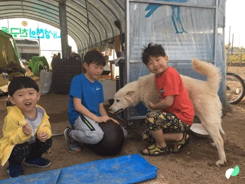 IMG_0559.GIF?type=w773