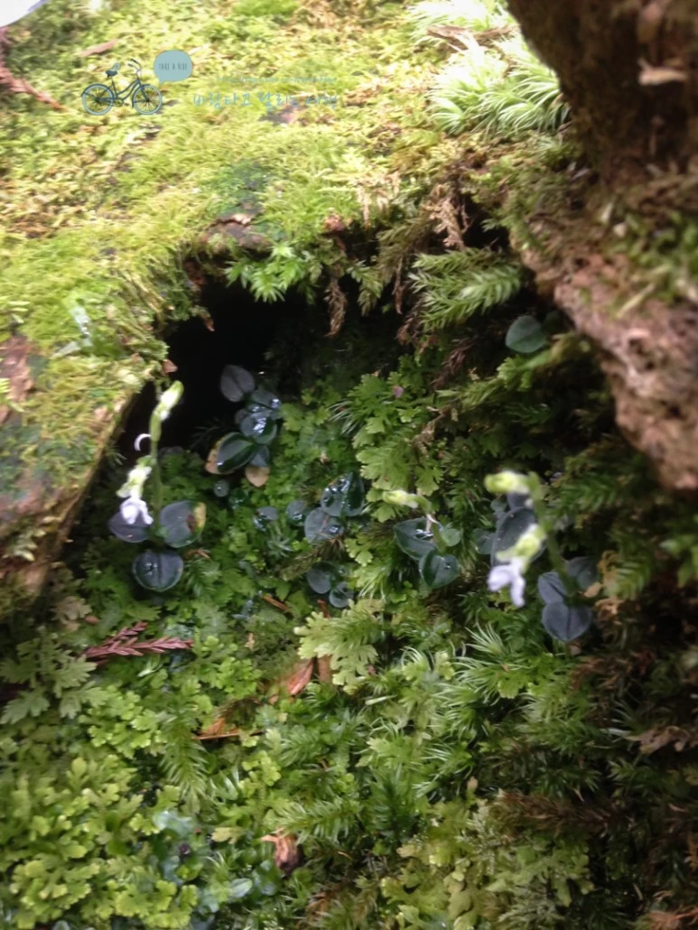 IMG_1345_wide1080.jpg?type=w773