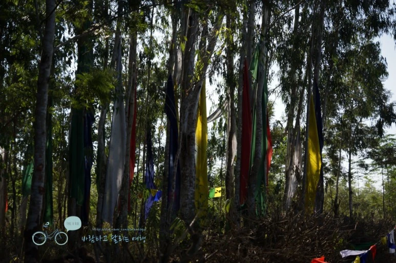 DSC00093.jpg?type=w773