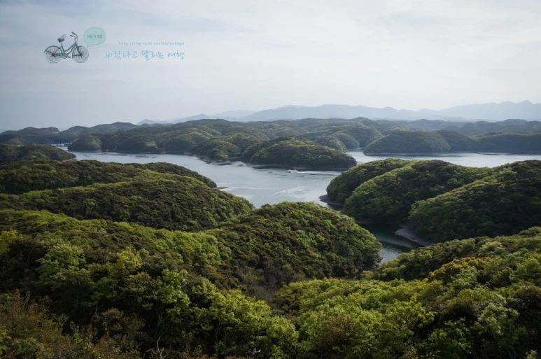 DSC07959_wide1080mark.jpg?type=w773