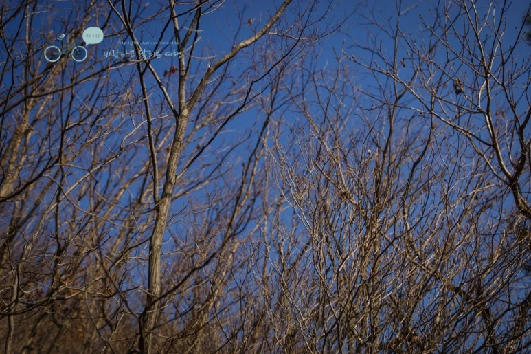 DSC06089_wide1080mark.jpg?type=w773