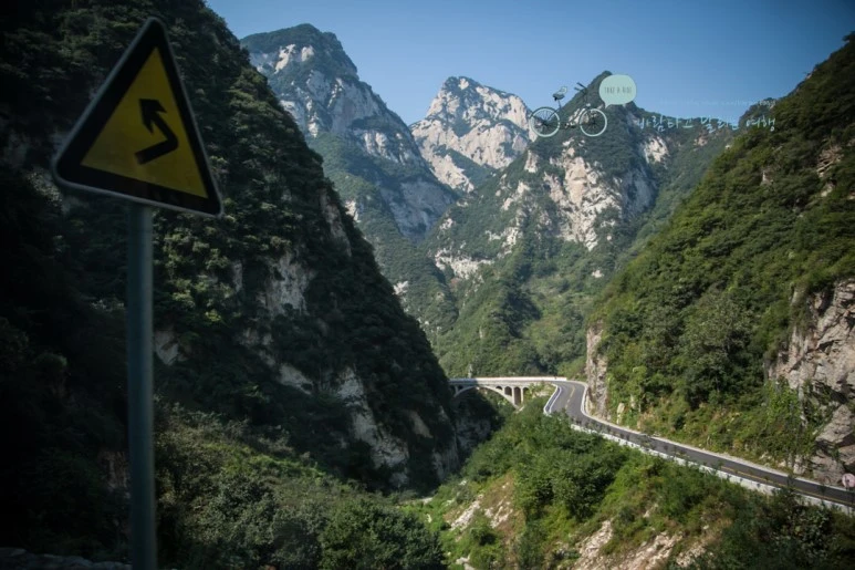 IMG_0035_Wide1080_mark%EB%B0%94%EB%9E%8C.jpg?type=w773