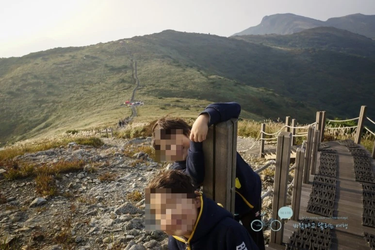 image_475152501479821670466.jpg?type=w773