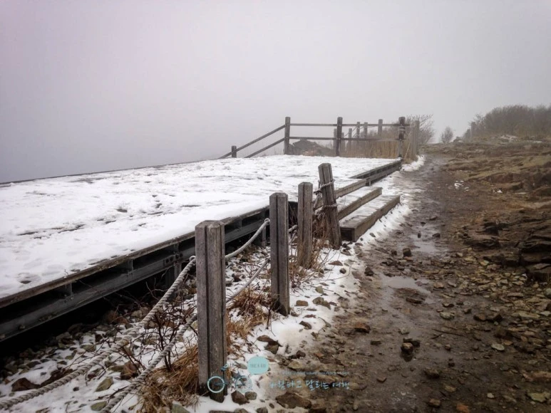 IMG_1920-_Wide1080mark.jpg?type=w773