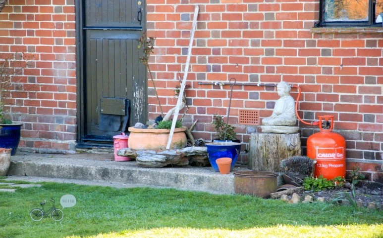 IMG_3542.jpg?type=w773