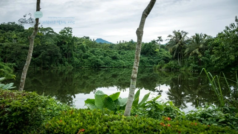 _1010095_wide1080_Wide1080mark_%EB%B0%94%EB%9E%8C.jpg?type=w773