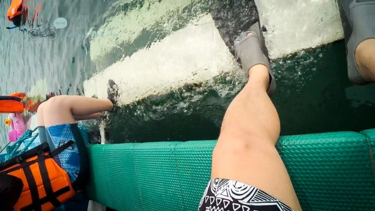 60_Wide1080mark%EB%B0%94%EB%9E%8C%ED%83%80%EA%B3%A0.jpg?type=w773