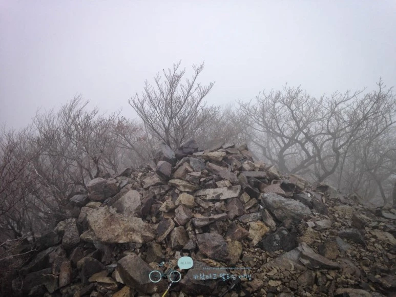 IMG_1902-_Wide1080mark.jpg?type=w773