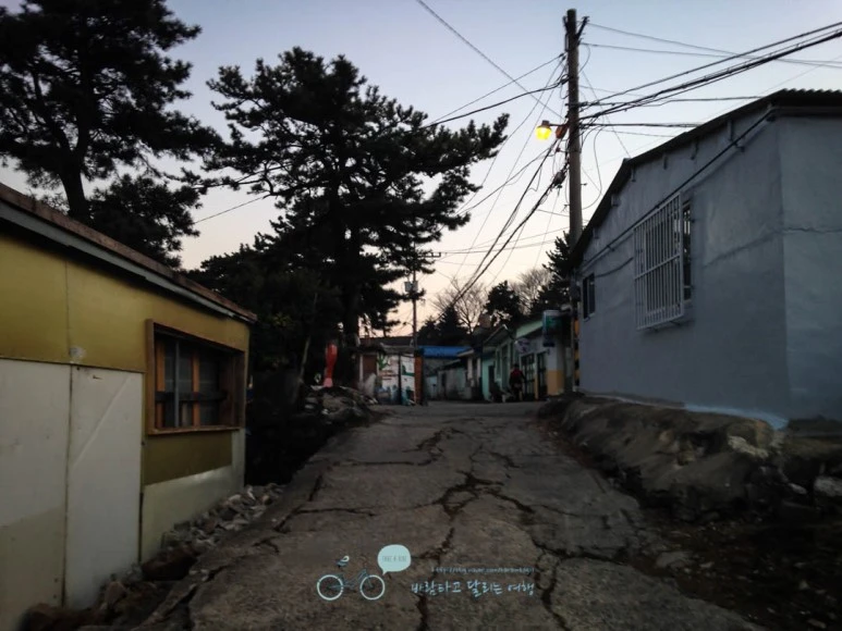 IMG_1242-_Wide1080mark%EB%B0%94%EB%9E%8C.jpg?type=w773