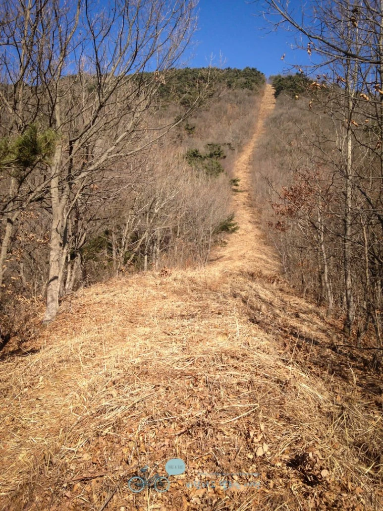 IMG_1460-_Wide1080mark.jpg?type=w773