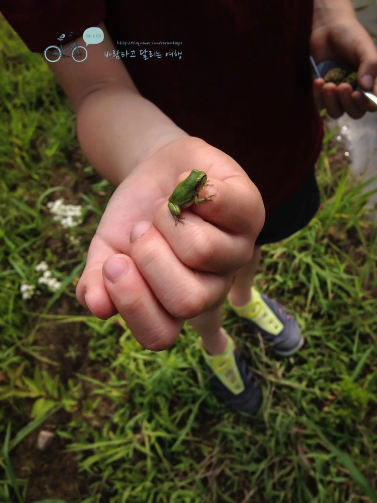 IMG_0567_Wide1080mark.jpg?type=w773