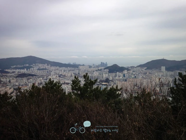 IMG_1308-_Wide1080mark%EB%B0%94%EB%9E%8C.jpg?type=w773