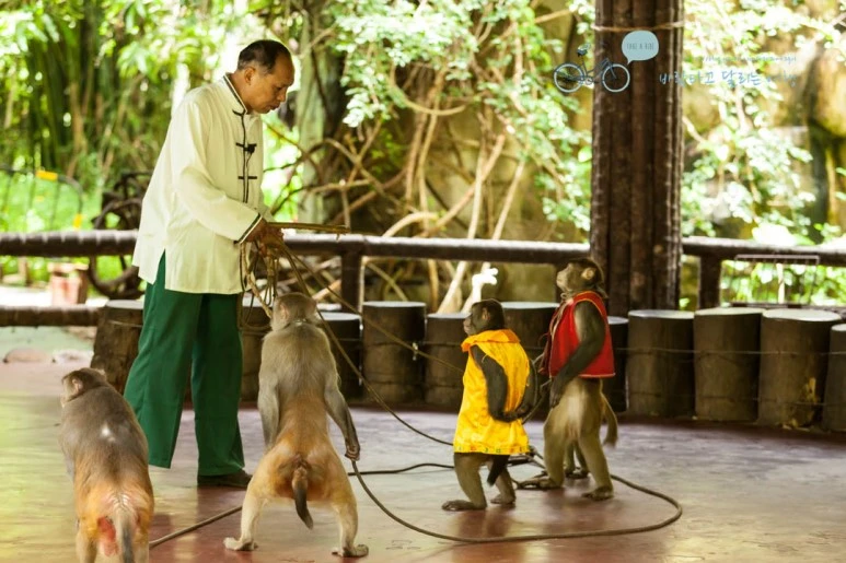 IMG_1428_wide1080%EB%B0%94%EB%9E%8Cmark.jpg?type=w773