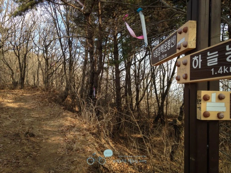 IMG_1450-_Wide1080mark.jpg?type=w773