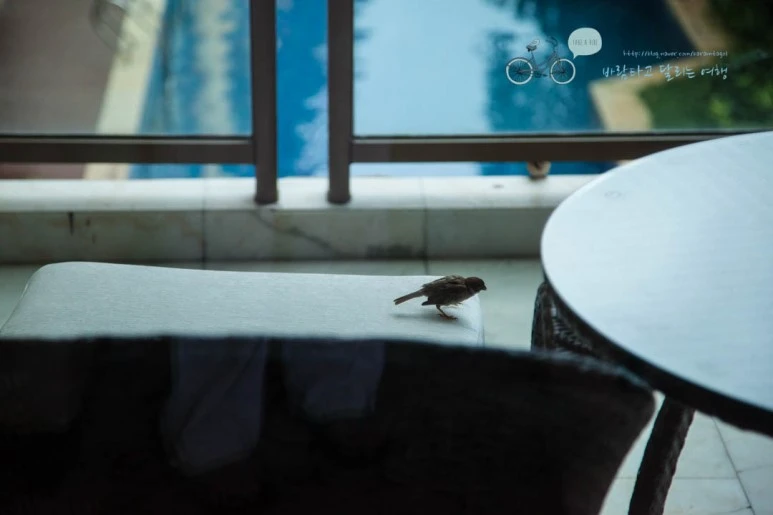 IMG_1750_wide1080%EB%B0%94%EB%9E%8Cmark.jpg?type=w773