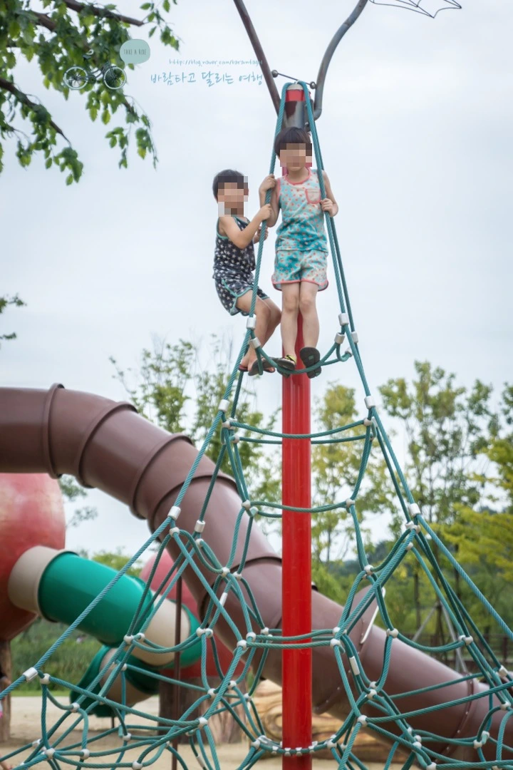 image_3399053491479184954496.jpg?type=w773