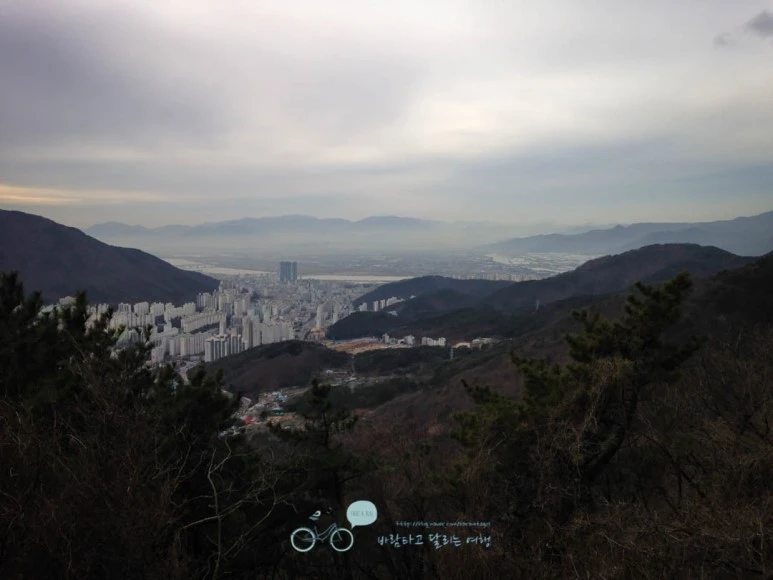 IMG_1310-_Wide1080mark%EB%B0%94%EB%9E%8C.jpg?type=w773