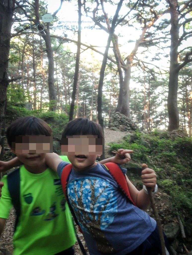 image_431278181482452437877.jpg?type=w773