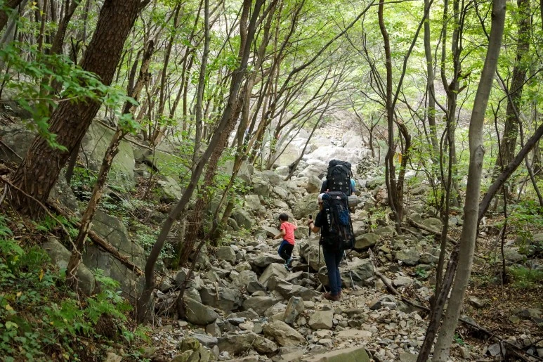 DSC04359_Edit.jpg?type=w773