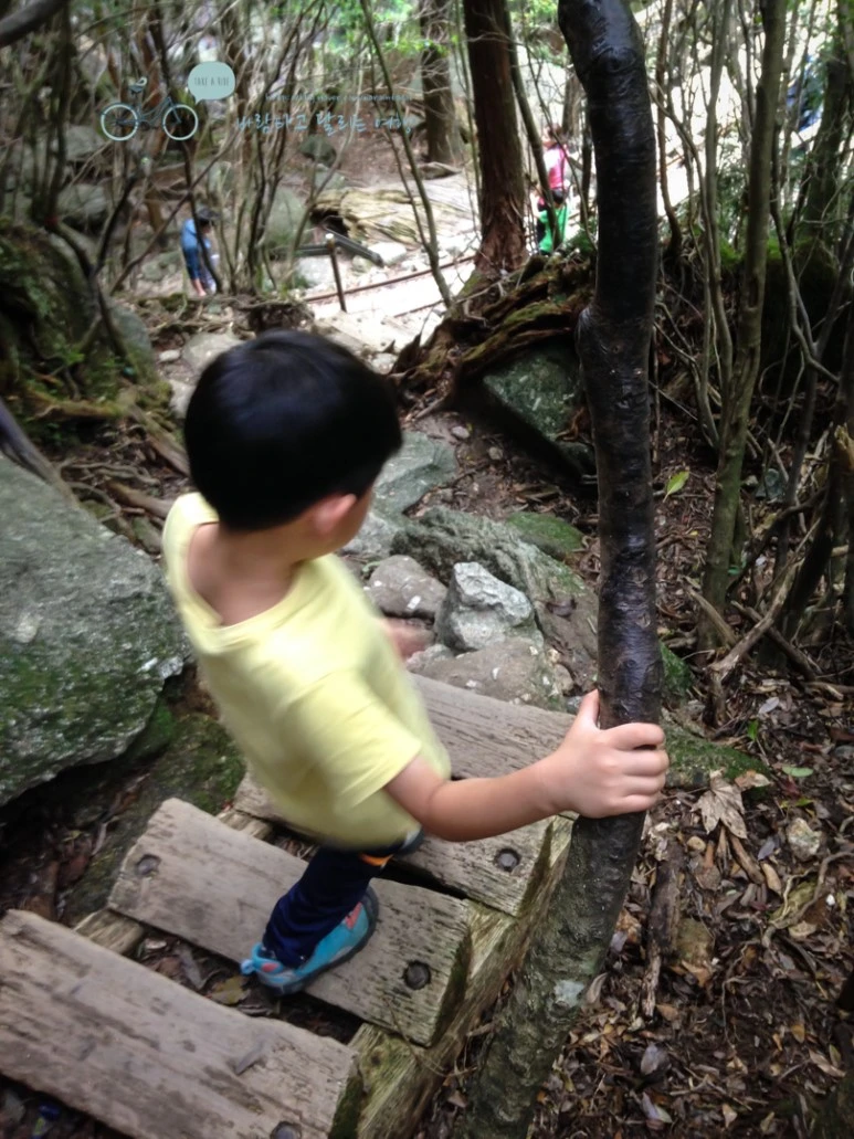 IMG_1499_wide1080.jpg?type=w773