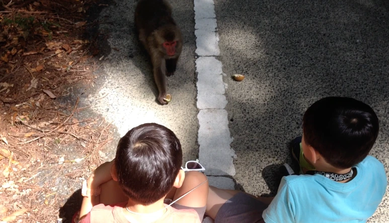 %EC%8A%A4%ED%81%AC%EB%A6%B0%EC%83%B7_2017-02-09_13.21.15.png?type=w773