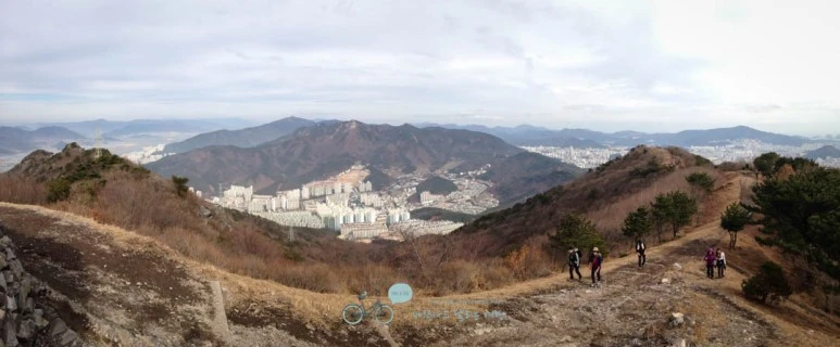 IMG_1298-_Wide1080mark%EB%B0%94%EB%9E%8C.jpg?type=w773