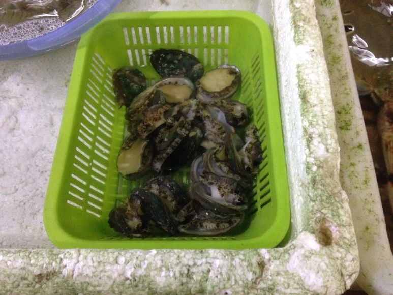 IMG_2723.JPG?type=w773