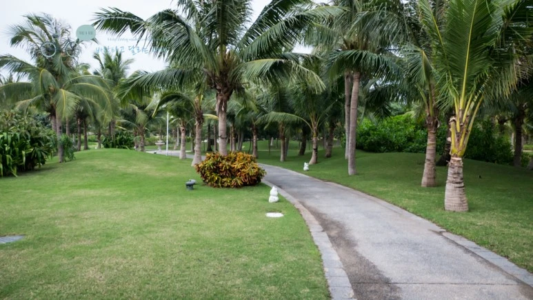 _1050683_wide1080mark.jpg?type=w773