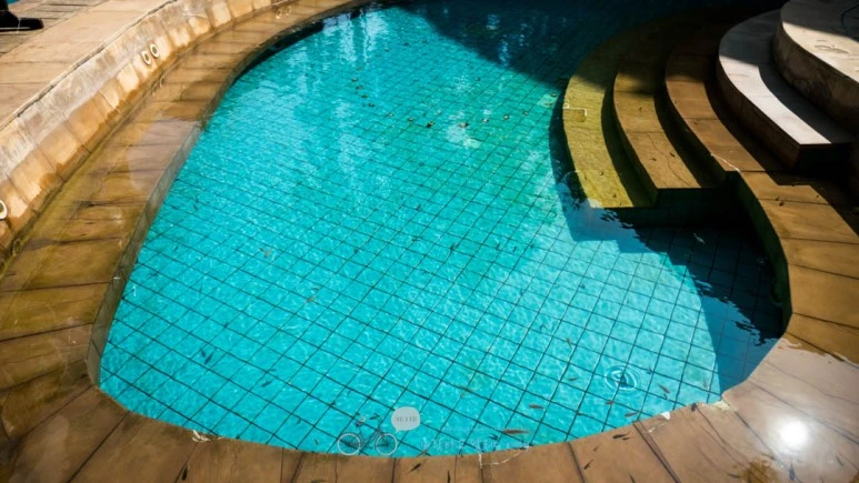 _1040313_Edit-_Wide1080mark%EB%B0%94%EB%9E%8C.jpg?type=w773