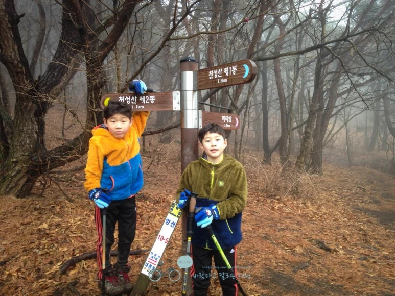 IMG_1484-_Wide1080mark.jpg?type=w773