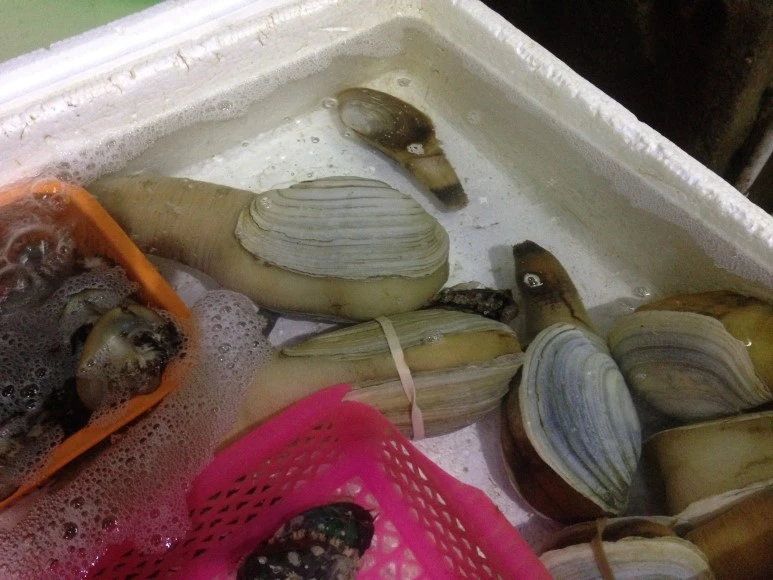 IMG_2727.JPG?type=w773