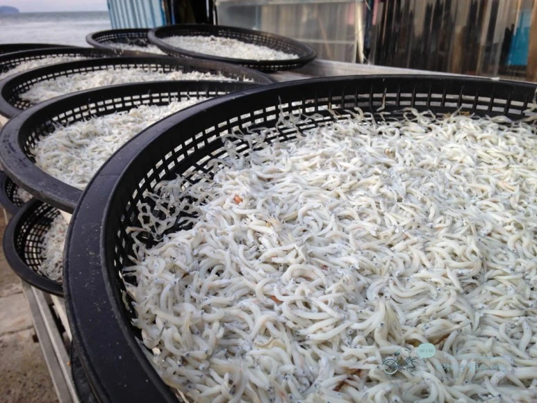 IMG_0959-_Wide1080mark%EB%B0%94%EB%9E%8C.jpg?type=w773