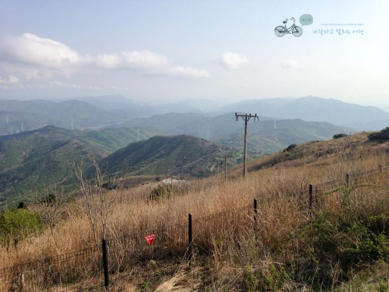 IMG_2075_Wide1080mark%EB%B0%94%EB%9E%8C.jpg?type=w773