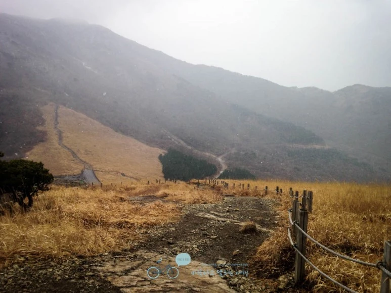 IMG_1946-_Wide1080mark.jpg?type=w773