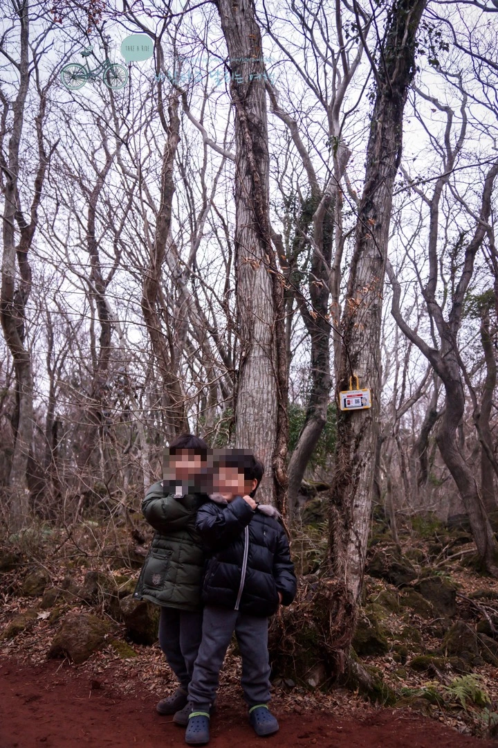 image_326253401476852820422.jpg?type=w773