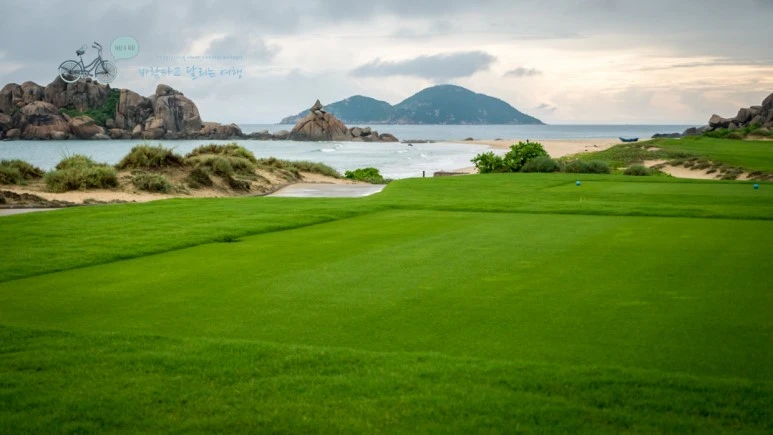 _1010880_wide1080_Wide1080mark_%EB%B0%94%EB%9E%8C.jpg?type=w773