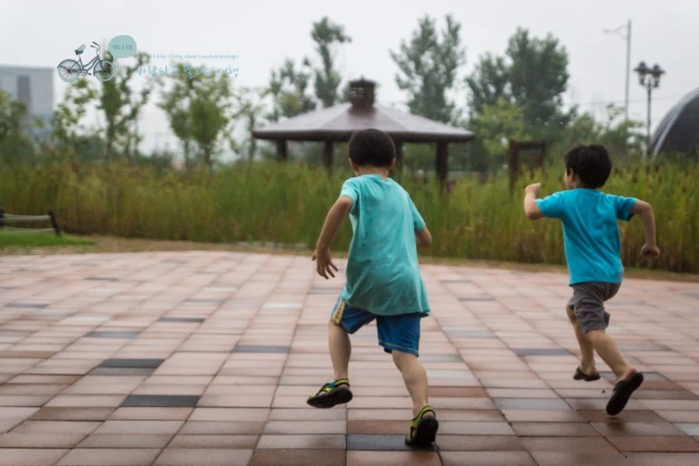 DSC03676_wide1080mark.jpg?type=w773