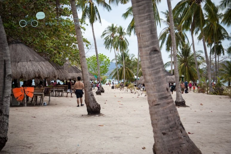 IMG_1687_Wide1080mark%EB%B0%94%EB%9E%8C%ED%83%80%EA%B3%A0.jpg?type=w773