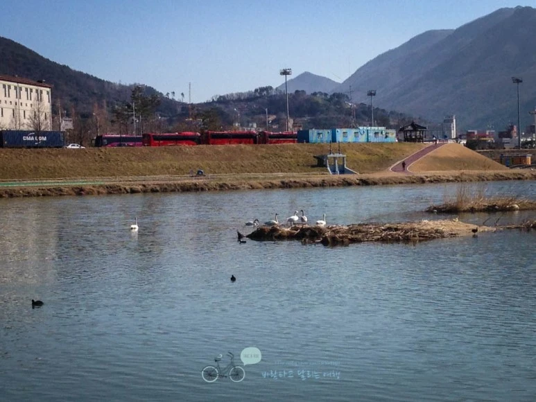 IMG_1794-_Wide1080mark.jpg?type=w773