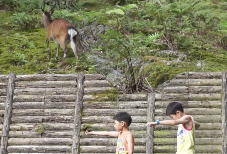 %EC%8A%A4%ED%81%AC%EB%A6%B0%EC%83%B7_2017-02-03_11.18.20.png?type=w773