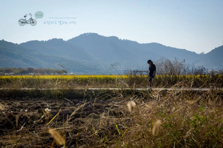 DSC05753_wide1080mark.jpg?type=w773