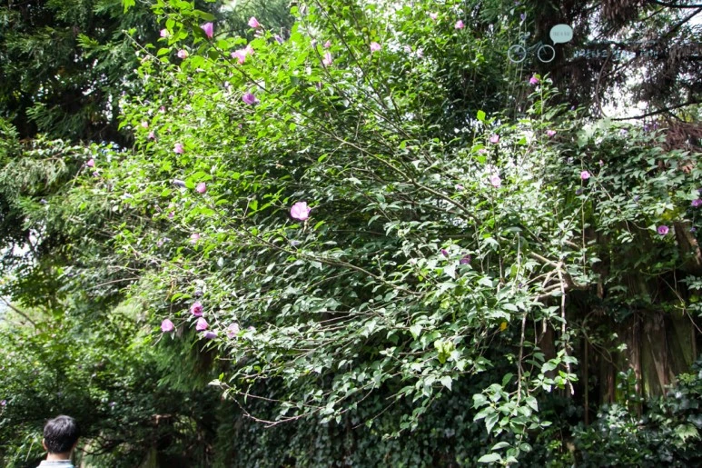 IMG_1185_Wide1080mark%EB%B0%94%EB%9E%8C.jpg?type=w773