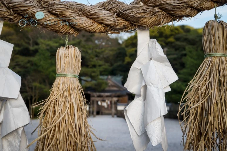 DSC07980_wide1080mark.jpg?type=w773