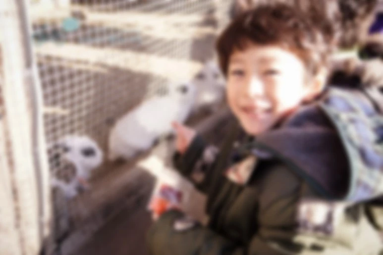 image_4776041211476869763851.jpg?type=w773