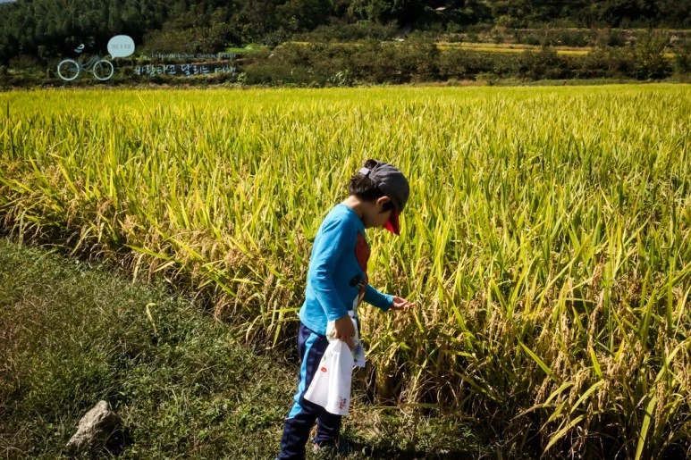 DSC04893_wide1080mark.jpg?type=w773